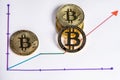 bitcoin peer-to-peer payment system that uses the same unit to account for transactions