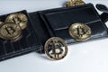 Purse, bitcoin peer-to-peer payment system that uses the same unit to account for transactions