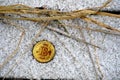 Bitcoin coin on a background of snowy grass and old leaves