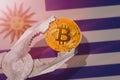 Bitcoin regulation in Uruguay; bitcoin btc coin being squeezed in vice on Uruguay flag background Royalty Free Stock Photo