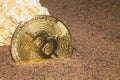 Bitcoin seashells rock