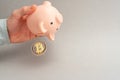 Bitcoin selling concept. Piggy bank for bitcoins. Cryptocurrency sell symbol. A man shake out bitcoin from money box on a gray bac