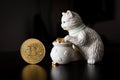 Bitcoin single coin with a cat