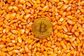 Bitcoin on top of corn kernels heap