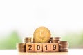 BitcoinBTC Golden and wooden block number year 2019 on greenery nature background.