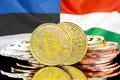 Bitcoins on Estonia and Hungary flag background