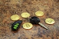 Bitcoins cryptocurency with car key Royalty Free Stock Photo