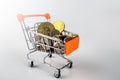 Bitcoins, euro and other currencies filling up shopping trolley, isolated on white background. Royalty Free Stock Photo