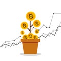 Bitcoins investment business icons