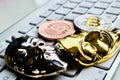 Bitcoins on the keyboard Royalty Free Stock Photo