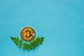 Bitcoins with leafs on blue background Royalty Free Stock Photo