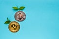Bitcoins with leafs on blue background Royalty Free Stock Photo