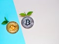 Bitcoins with leafs on blue and pink background