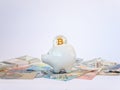 Bitcoins, New Virtual Money concept in piggy bank. Gold bitcoins with name Invest dollars` euros` background. Golden coins with