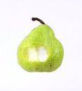 Bite Crisp Anjou Pear Royalty Free Stock Photo