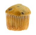Bite size blueberry muffin Royalty Free Stock Photo