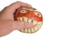 Biting Apple Royalty Free Stock Photo