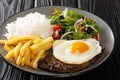 Bitoque Recipe Portuguese Style Steak with Egg, french fries, rice and salad closeup in the plate. Horizontal Royalty Free Stock Photo