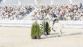 BitRiver CUP Show Jumping Tournament. Equestrian sports. show jumping