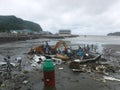 Bits and pieces of a boat on the beach after Hurricane Nate