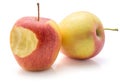 Evelina apple isolated Royalty Free Stock Photo