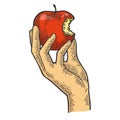 Bitten apple in hand color sketch engraving vector