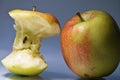 Bitten apple with sad face expression beside happy whole fresh apple metaphore Royalty Free Stock Photo