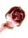 Bitten chocolate covered cherry Royalty Free Stock Photo