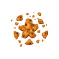 Bitten cookies with chocolate chips. Broken cookie in the form of a star. Vector cartoon illustration. Royalty Free Stock Photo