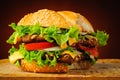 Bitten hamburger Royalty Free Stock Photo