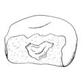 Bitten Hanukkah donut with jam black white vector graphic illustration, side view. Hand drawn Jewish holiday sufganiyah