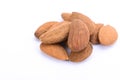 Bitter Almond - Prunus amygdalus var.amara Royalty Free Stock Photo