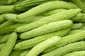 Bitter gourd Royalty Free Stock Photo