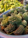 bitter gourd closeup portrate natural green Royalty Free Stock Photo