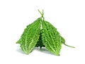 Bitter gourd or Bitter melon or Momordica charantia isolated on white background Royalty Free Stock Photo