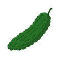 Bitter gourd or pare vegetable, peria or paria vegetable, flat design illustration