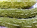 vegetable texture, green color, detail and close