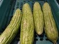 Bitter gourds for local cuisine Royalty Free Stock Photo