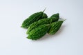 The bitter of gourds named as Momordica charantia are on white background. Royalty Free Stock Photo