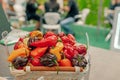 Bitter hot red peppers of different varieties of the farmer in a basket lie in the window of the farmer`s market. The latest Royalty Free Stock Photo