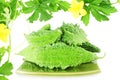 Bitter melon or bitter gourd with plant Royalty Free Stock Photo
