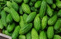 Bitter melon fruits at the market