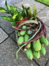 Bitter melon, kaffir lime leaves, yardlong beans, eggplant, chili