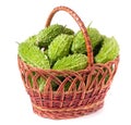 Bitter melon or momordica in a wicker basket isolated on white background Royalty Free Stock Photo