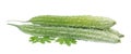 Bitter melon Royalty Free Stock Photo
