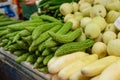 Bitter melon and white squash Royalty Free Stock Photo