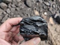 Bituminous - Anthracite coal, high grade coal on hand