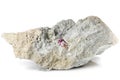 Red beryl Royalty Free Stock Photo