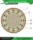 Biology - Lecture notes, plant physiology