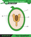 Biology - Lecture notes, plant physiology